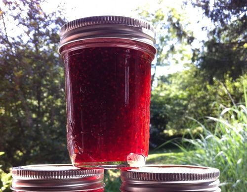 Schwarze Johannisbeermarmelade mit Himbeeren