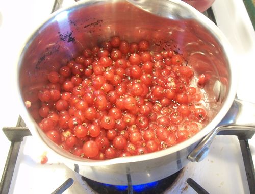 Gelee aus roten Johannisbeeren