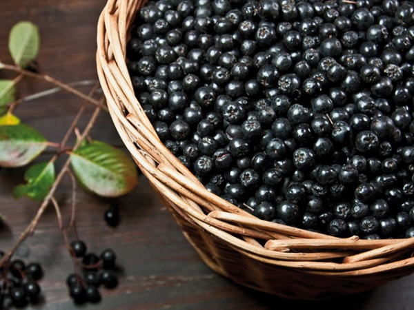 Marmelade aus schwarzer Aronia