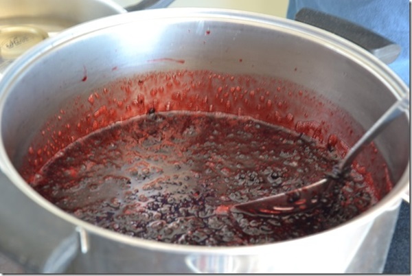Marmelade aus schwarzer Aronia