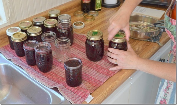 Marmelade aus schwarzer Aronia