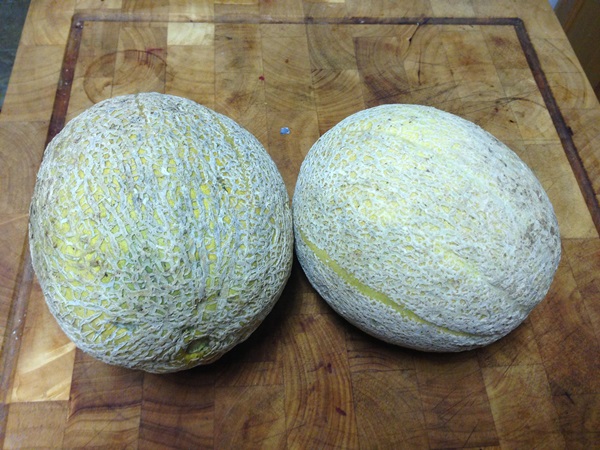 Marmelade aus Melone und Melonenkruste für den Winter - einfache Rezepte