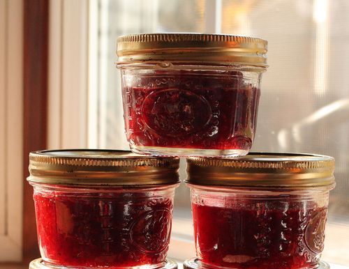 Einfache Cranberry Marmelade