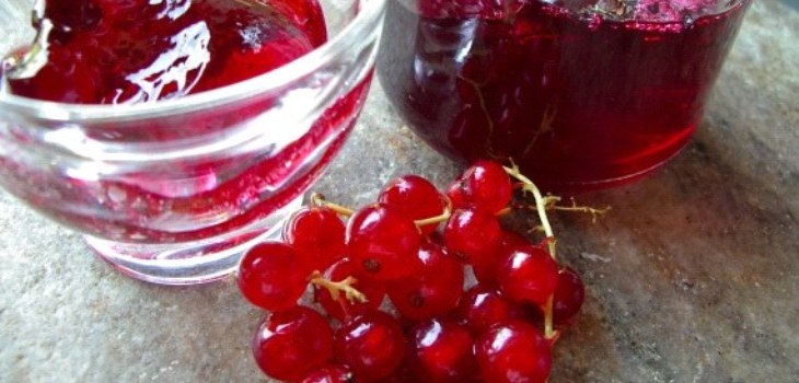Johannisbeeren Beeren