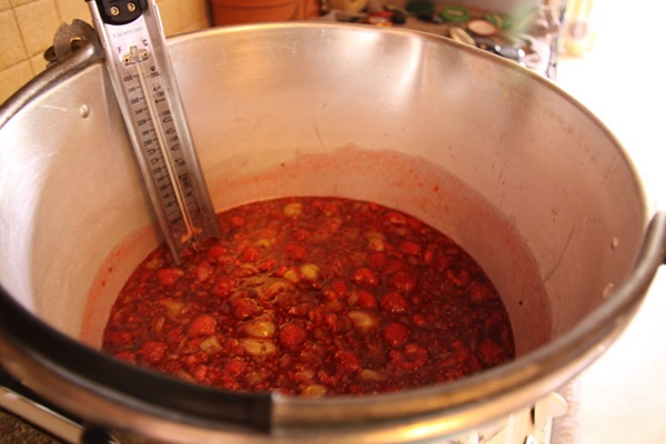 Rezepte von Marmelade aus Stachelbeeren