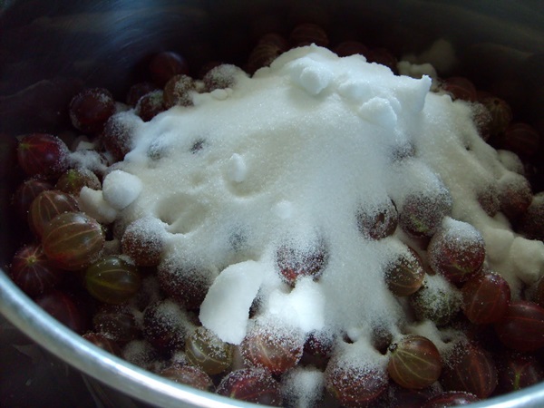 Rezepte von Marmelade aus Stachelbeeren