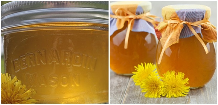 Marmelade und Honig aus Löwenzahn mit Zitronensäure und ohne Säure