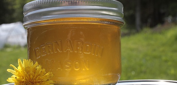 Marmelade und Honig aus Löwenzahn mit Zitronensäure und ohne Säure