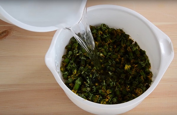 Marmelade und Honig aus Löwenzahn mit Zitronensäure und ohne Säure