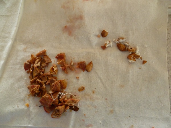 Wie man Marmelade aus einer Pflaume mit einem Stein bäckt und entkernt - einfache Rezepte