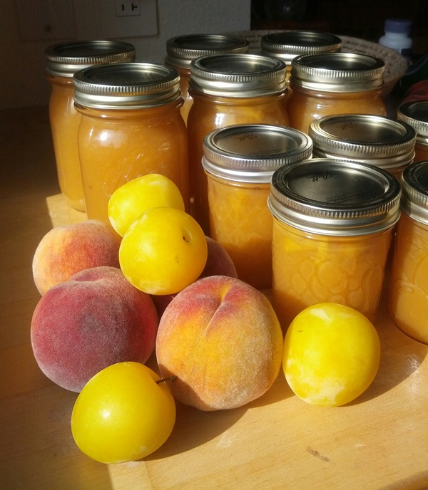 Wie man Marmelade aus einer Pflaume mit einem Stein bäckt und entkernt - einfache Rezepte