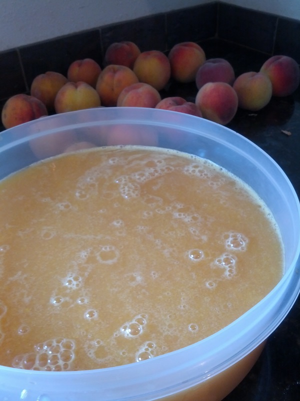 Wie man Marmelade aus einer Pflaume mit einem Stein bäckt und entkernt - einfache Rezepte