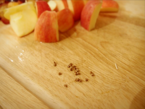 Wie man Marmelade aus einer Pflaume mit einem Stein bäckt und entkernt - einfache Rezepte