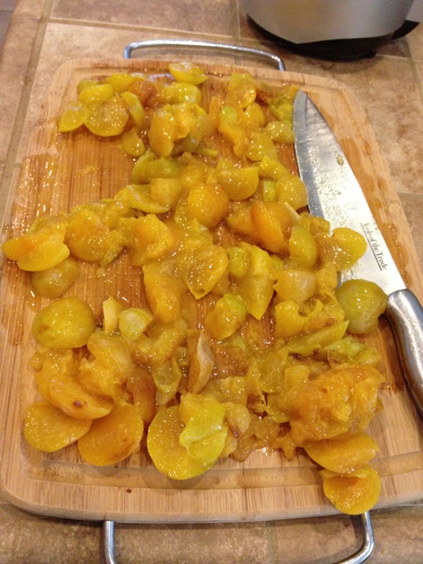 Wie man Marmelade aus einer Pflaume mit einem Stein bäckt und entkernt - einfache Rezepte