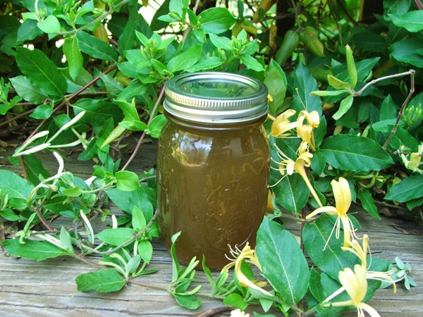 Geißblatt Marmelade