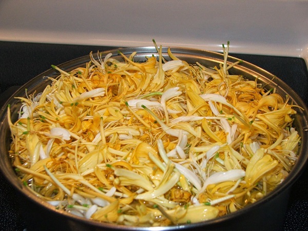 Geißblatt Marmelade
