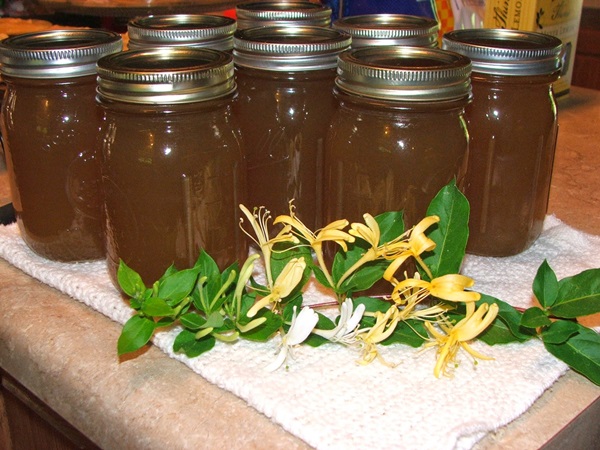 Geißblatt Marmelade