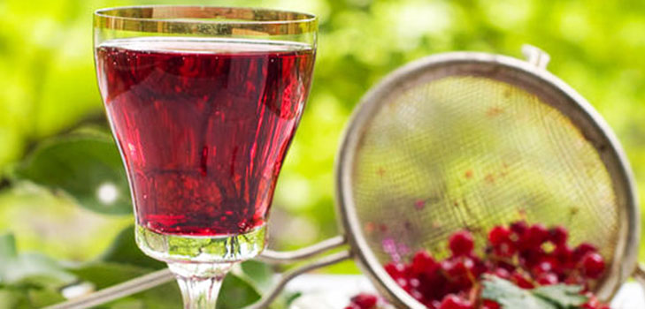 Wein aus der Johannisbeere im Haus - schwarz, weiß, rot, ohne Hefe und mit ihnen. Einfache und traditionelle Rezepte von Johannisbeeren-farbigen Hauswein Wein aus der Johannisbeere im Haus - schwarz, weiß, rot, ohne Hefe und mit ihnen. Einfache und traditionelle Rezepte von Johannisbeeren-farbigen Hauswein