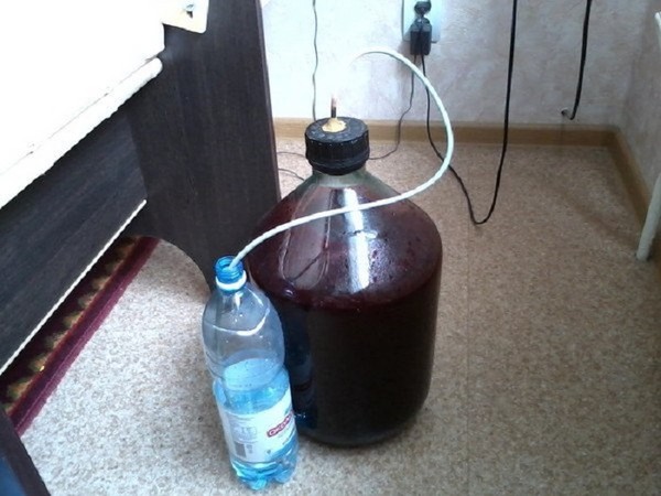 Wein aus der Johannisbeere im Haus - schwarz, weiß, rot, ohne Hefe und mit ihnen. Einfache und traditionelle Rezepte von Johannisbeeren-farbigen Hauswein