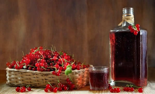 Wein aus der Johannisbeere im Haus - schwarz, weiß, rot, ohne Hefe und mit ihnen. Einfache und traditionelle Rezepte von Johannisbeeren-farbigen Hauswein Wein aus der Johannisbeere im Haus - schwarz, weiß, rot, ohne Hefe und mit ihnen. Einfache und traditionelle Rezepte von Johannisbeeren-farbigen Hauswein