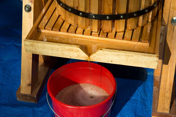 Hausgemachter Wein aus Äpfeln