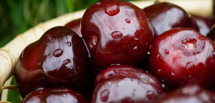 Kirsche im Winter - Rezepte - Marmelade mit Samen und ohne Samen, Fünf-Minuten-Briefings, Marmelade, Gelee ohne Gelatine, Kirschkompott