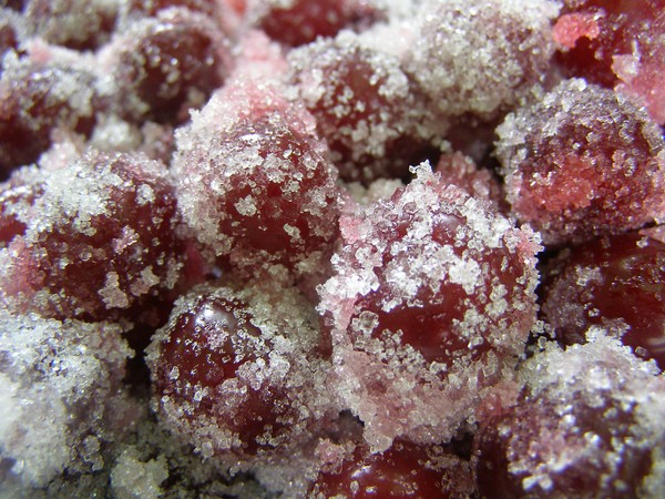 Kirsche im Winter - Rezepte - Marmelade mit Samen und ohne Samen, Fünf-Minuten-Briefings, Marmelade, Gelee ohne Gelatine, Kirschkompott