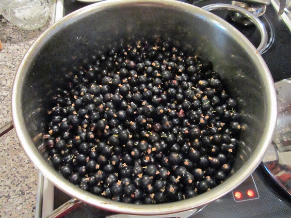 Köstliches Gelee von der schwarzen Johannisbeere - Rezepte
