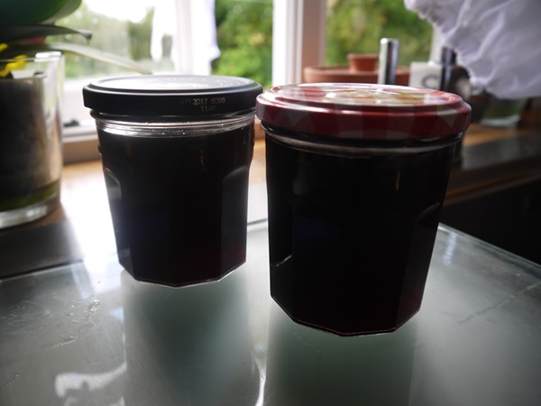 Köstliches Gelee von der schwarzen Johannisbeere - Rezepte