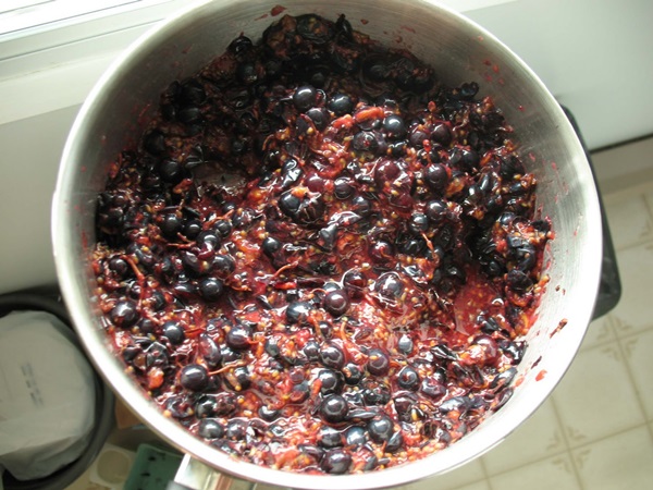 Köstliches Gelee von der schwarzen Johannisbeere - Rezepte