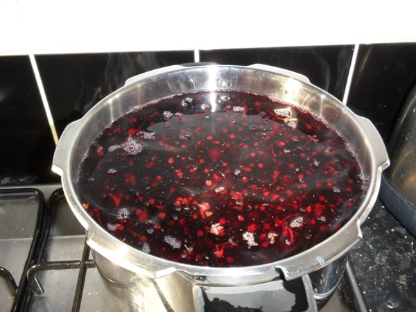 Köstliches Gelee von der schwarzen Johannisbeere - Rezepte