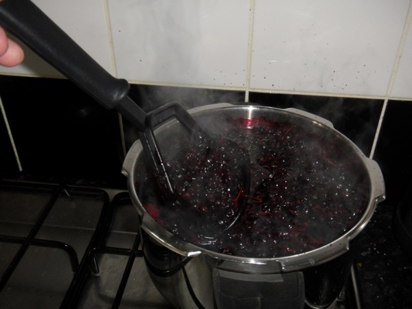 Köstliches Gelee von der schwarzen Johannisbeere - Rezepte