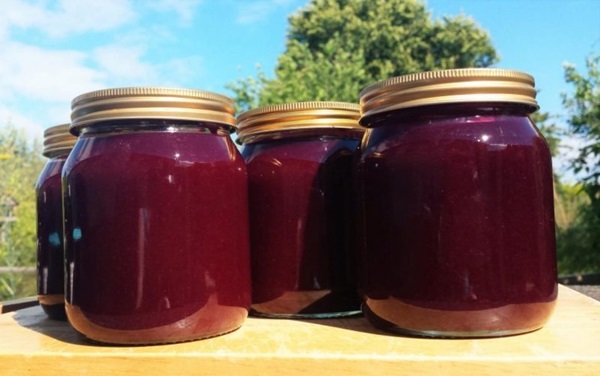 Köstliches Gelee von der schwarzen Johannisbeere - Rezepte