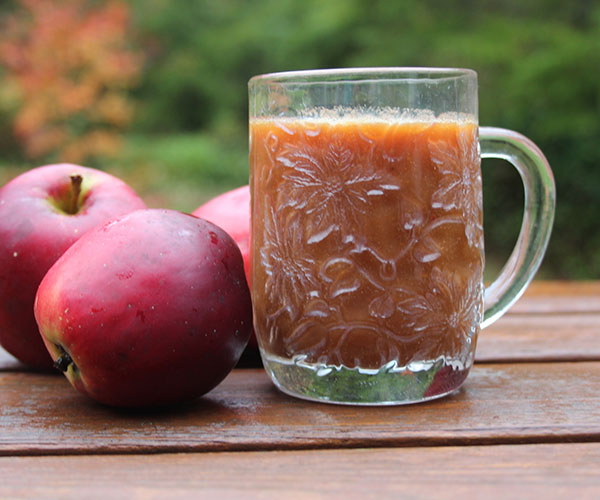 Wie man Apfelsaft für den Winter vorbereitet