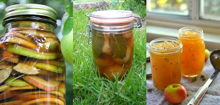 Äpfel für den Winter in den Banken - Knüppel und Rezepte - getränkt und Wedges, Kompott, Marmelade, Kuchen Billet. Wie man Äpfel im Winter zu Hause behält