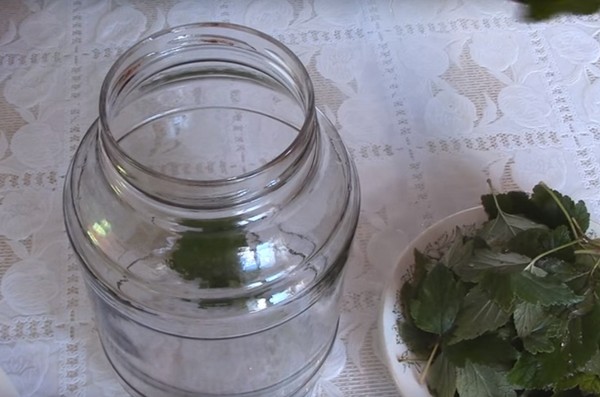 Äpfel für den Winter in den Banken - Knüppel und Rezepte - getränkt und Wedges, Kompott, Marmelade, Kuchen Billet. Wie man Äpfel im Winter zu Hause behält