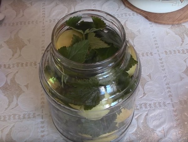 Äpfel für den Winter in den Banken - Knüppel und Rezepte - getränkt und Wedges, Kompott, Marmelade, Kuchen Billet. Wie man Äpfel im Winter zu Hause behält