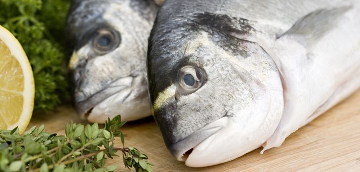Home Fischkonserven