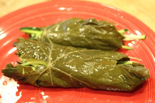 Das Rezept für die Ernte von Weinblättern für Dolma Wie man Weinblätter für Dolma einlegt