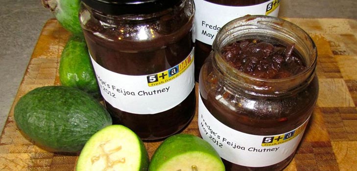 Rohlinge von Feijoa für den Winter, die besten Rezepte mit einem Foto