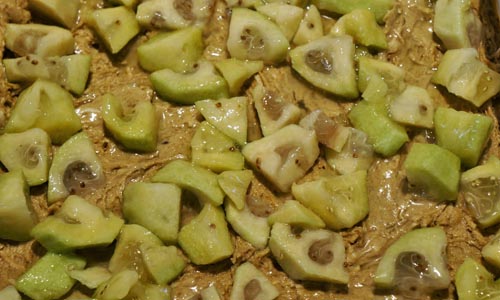 Rohlinge von Feijoa für den Winter, die besten Rezepte mit einem Foto