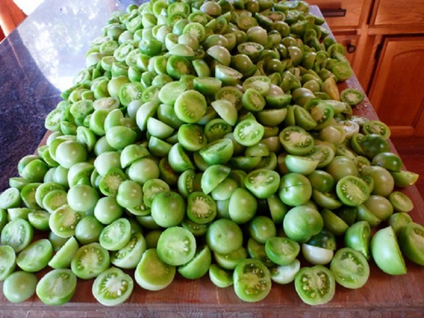Grüne Tomaten, Rezepte für den Winter. Grüne Tomaten kochen - eingelegt, eingelegt, koreanisch
