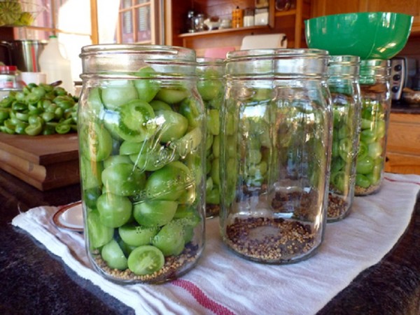 Grüne Tomaten, Rezepte für den Winter. Grüne Tomaten kochen - eingelegt, eingelegt, koreanisch