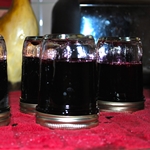 Gelee von Blaubeeren für den Winter - Fotorezept für das Kochen