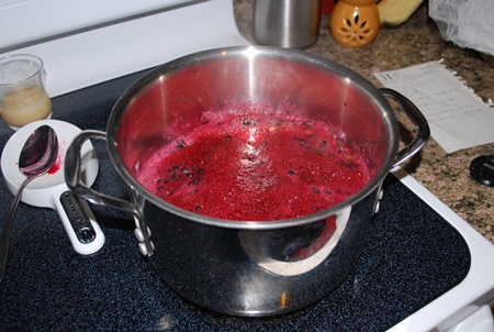 Gelee von Blaubeeren für den Winter - Fotorezept für das Kochen