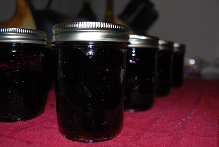 Gelee von Blaubeeren für den Winter - Fotorezept für das Kochen