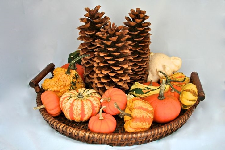 5 Ideen für Herbst Haus Dekor