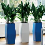 Inneres Phytodesign