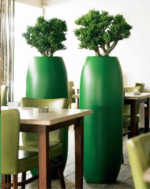Inneres Phytodesign