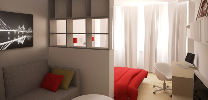 Wohnzimmer und Schlafzimmer in einem Raum (Foto)